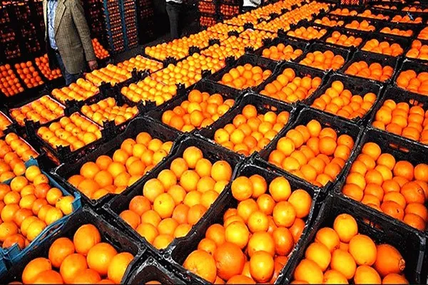 الزام برای صادرات 200 هزار تن سیب و پرتقال