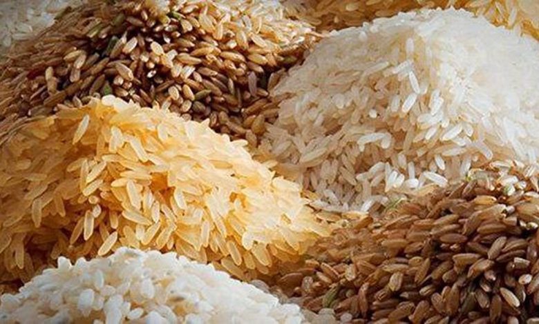 صادرات بالای برنج هندی در سال 2024