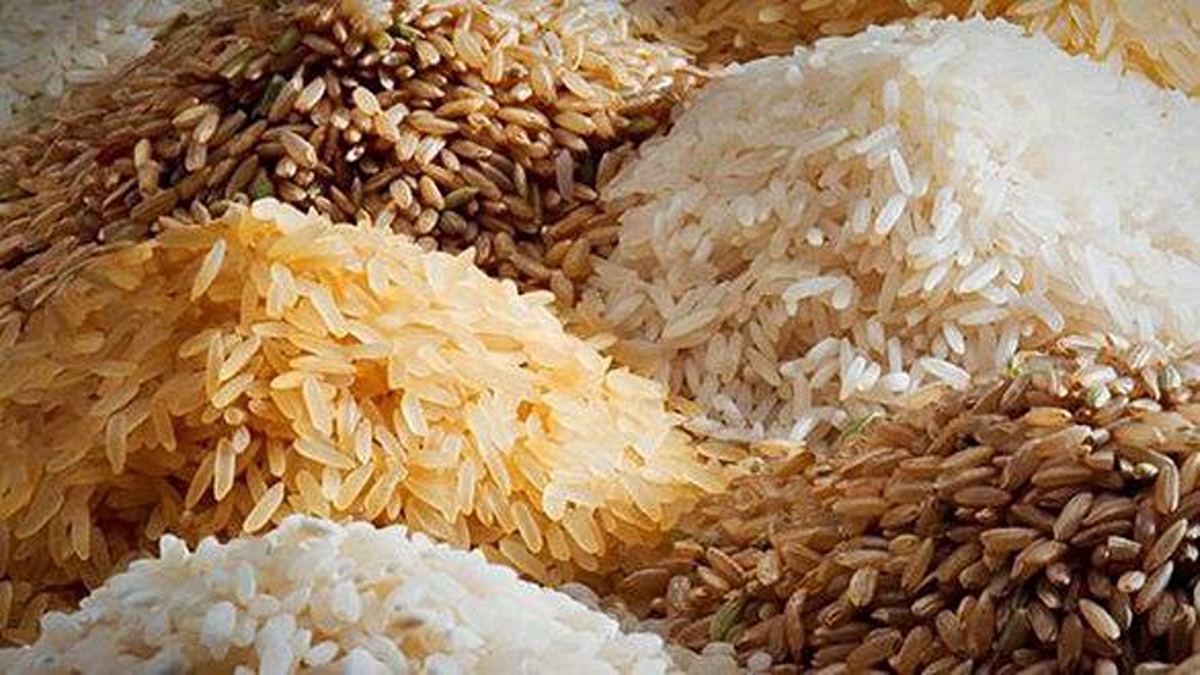 صادرات بالای برنج هندی در سال 2024