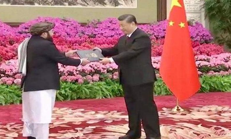 رئیس جمهور چین استوارنامه‌ سفیر طالبان را در سال 2024 دریافت کرد