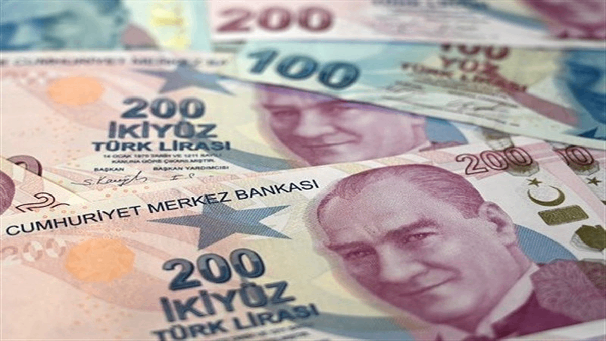 ارزش لیر ترکیه در 2024 سقوط کرد