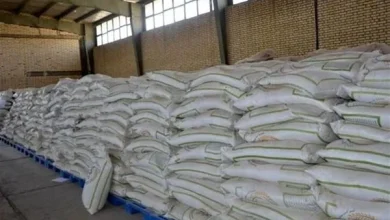 کشف احتکار بیش از ۵۵ تن برنج به ارزش ۴ میلیارد تومان