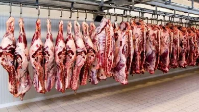 تغییر قیمت گوشت تا یک ماه آینده