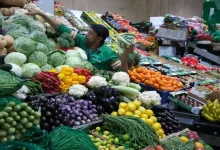 پیشروی پنهان ایران در بازار کشاورزی خلیج فارس