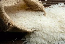 واردات برنج دو برابر شد؛ هند در صدر فروشندگان
