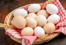 عقب‌نشینی قیمت تخم‌مرغ؛ هر شانه زیر ۳۰۰ هزار تومان