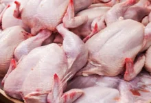 قیمت جدید مرغ پس از حذف ارز ترجیحی اعلام شد