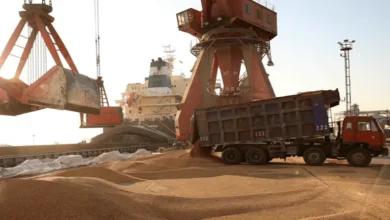 ایران و روسیه در مسیر شاهراه تجارت گندم