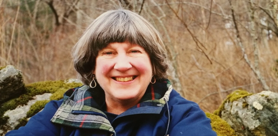 دونلا میدوز؛ نظریه‌پرداز اقتصاد پایداری