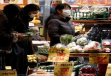 تورم ژاپن زیر فشار انرژی و موج گرانی مواد غذایی