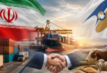 سکوهای تجارت فرامرزی ایران و صادرات خرد اوراسیا