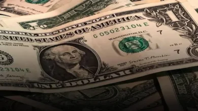 اثر نرخ ارز بر قیمت خودرو در بازار داخلی ایران