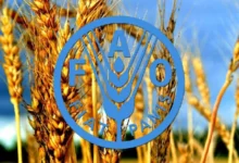 امنیت غذایی ایران و مسیر کاهش وابستگی به واردات