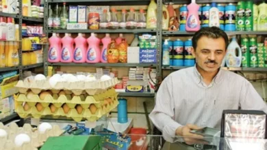 سهم ۸۵ درصدی شبکه مویرگی از بازار خرده‌فروشی ایران
