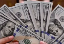 مطالبات واردکنندگان کالاهای اساسی در مسیر پرداخت