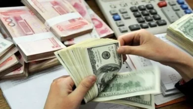 تسهیلات ارزی ۶۰ میلیون دلاری واردات کالاهای اساسی بانک‌ها