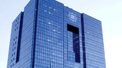 سود خالص بانک مرکزی و نقش تورم در ترازنامه سال ۱۴۰۴