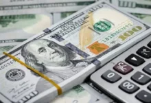 صندوق سرمایه‌گذاری ارزی و آغاز فصل تازه تامین مالی ارزی