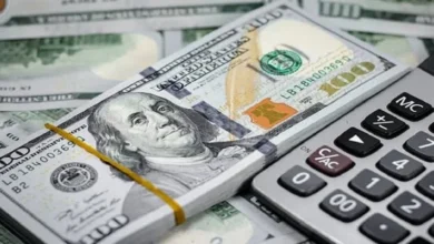 صندوق سرمایه‌گذاری ارزی و آغاز فصل تازه تامین مالی ارزی