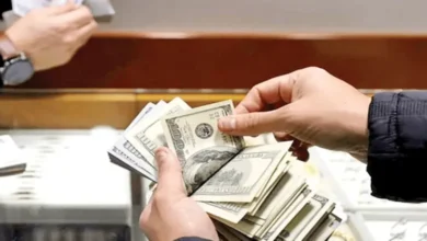 عرضه ۵۰۰ میلیون دلار اسکناس ارز در شبکه بانکی