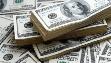 افزایش قیمت دلار در سایه نوسان بازار آزاد و رشد عرضه ارز