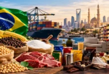 ظرفیت‌های تازه تجارت ایران و برزیل فراتر از کالاهای سنتی